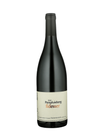 Parapluie Syrah 2017 Bio