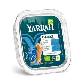 Bio MSC Katze Schale Bröckchen getreidefrei Fisch (100 g)